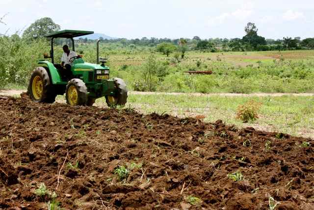 Tractor working on the Nankhombe field