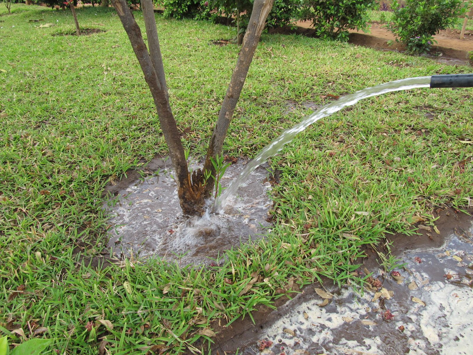 Water